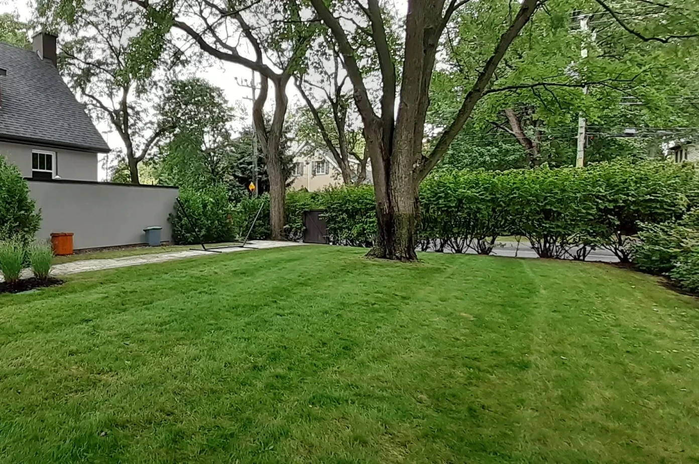 Cour arrière avant aménagement paysager - Projet résidentiel